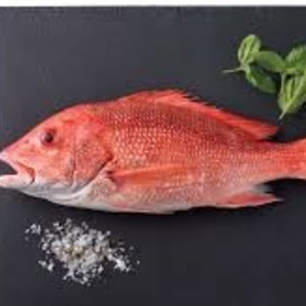 Whole red snapper with sea salt and basil on a dark surface.