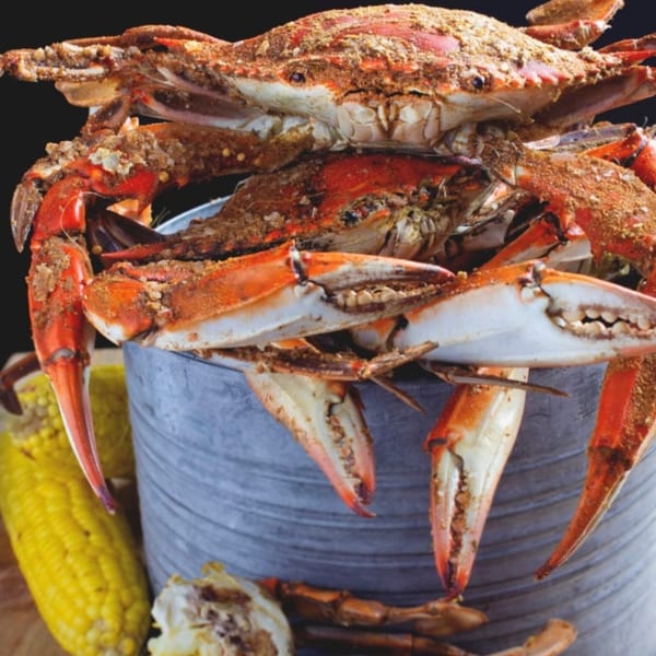 Steamed blue crabs seasoned with spices, piled high in a metal bucket with corn on the cob.