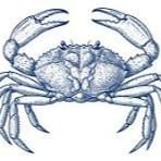 Blue Crab.