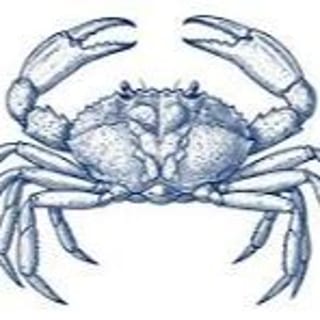 Blue Crab