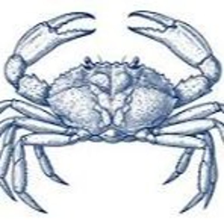 Delicious Crab Dishes