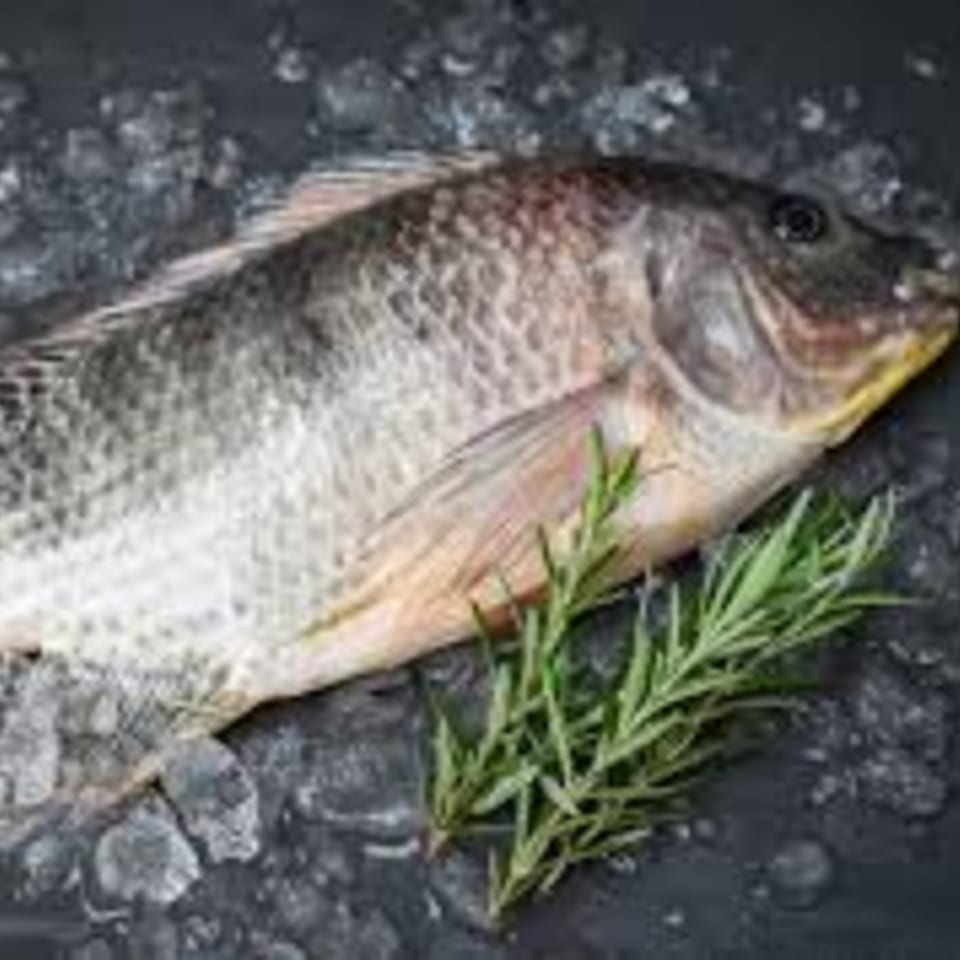 Fresh whole fish on a bed of ice with a sprig of rosemary.